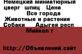 Немецкий миниатюрный(цверг) шпиц › Цена ­ 50 000 - Все города Животные и растения » Собаки   . Адыгея респ.,Майкоп г.